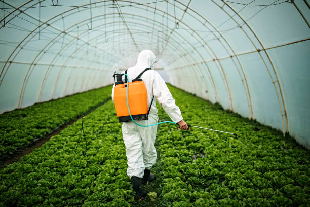 Insect Control in Hendersonville, NC