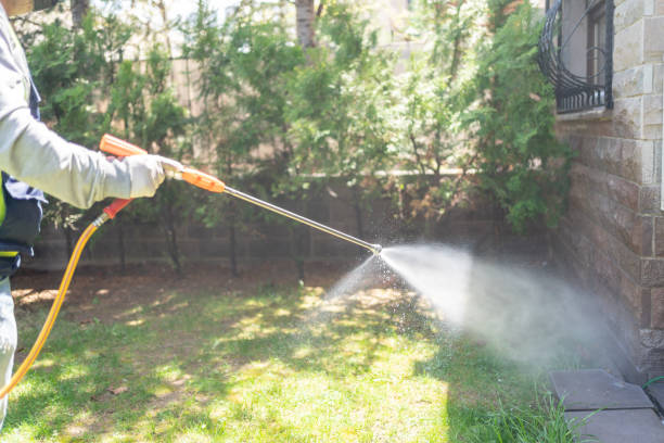 Best Termite Control Services  in Hendersonville, NC