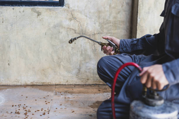 Best Residential Pest Control  in Hendersonville, NC
